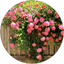 Magdalena Jędrzejewska profile picture